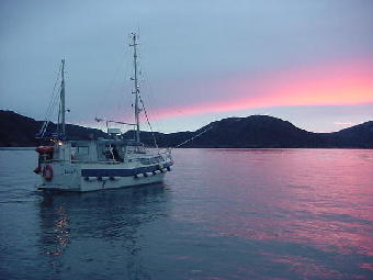 aegir i haralden  